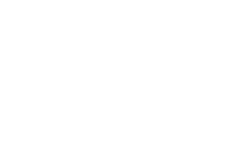 Fitfinna